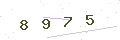 验证码